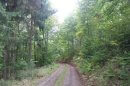 Longue descente